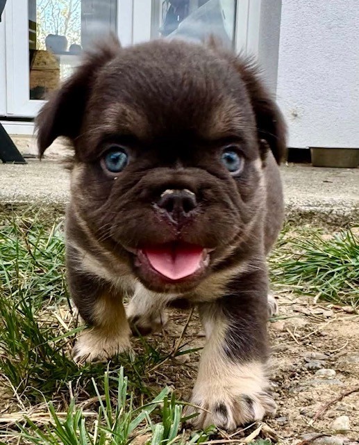 FLUFFY CHOCO TAN